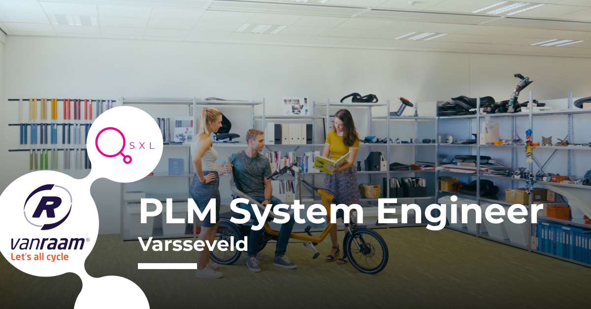 VanRaam - PLM System Engineer Image